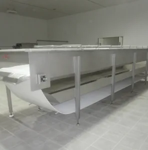 Stainless steel belt conveyor manufacturer in pune