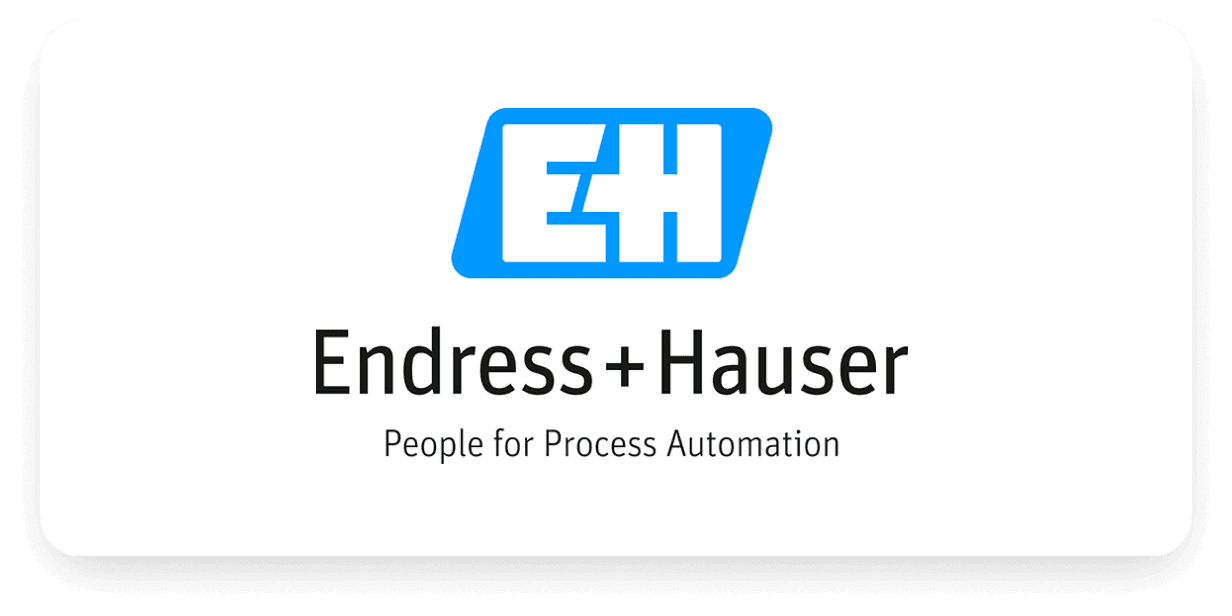 Endress+Hauser logo